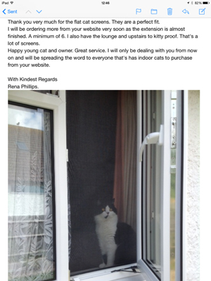 window guards for cats